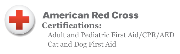 Andi Burns: Red Cross First Aid Certifications